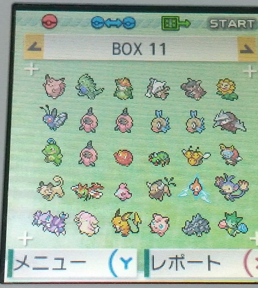 ポケットモンスター アルファサファイア 北米版 ポケモン ORAS ソフトのみ
