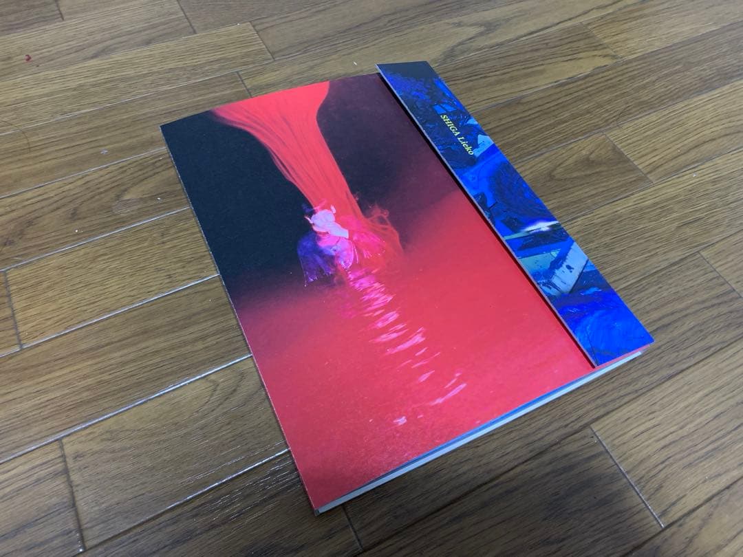 志賀理恵子 Tokyo Contemporary Art Award 作品集