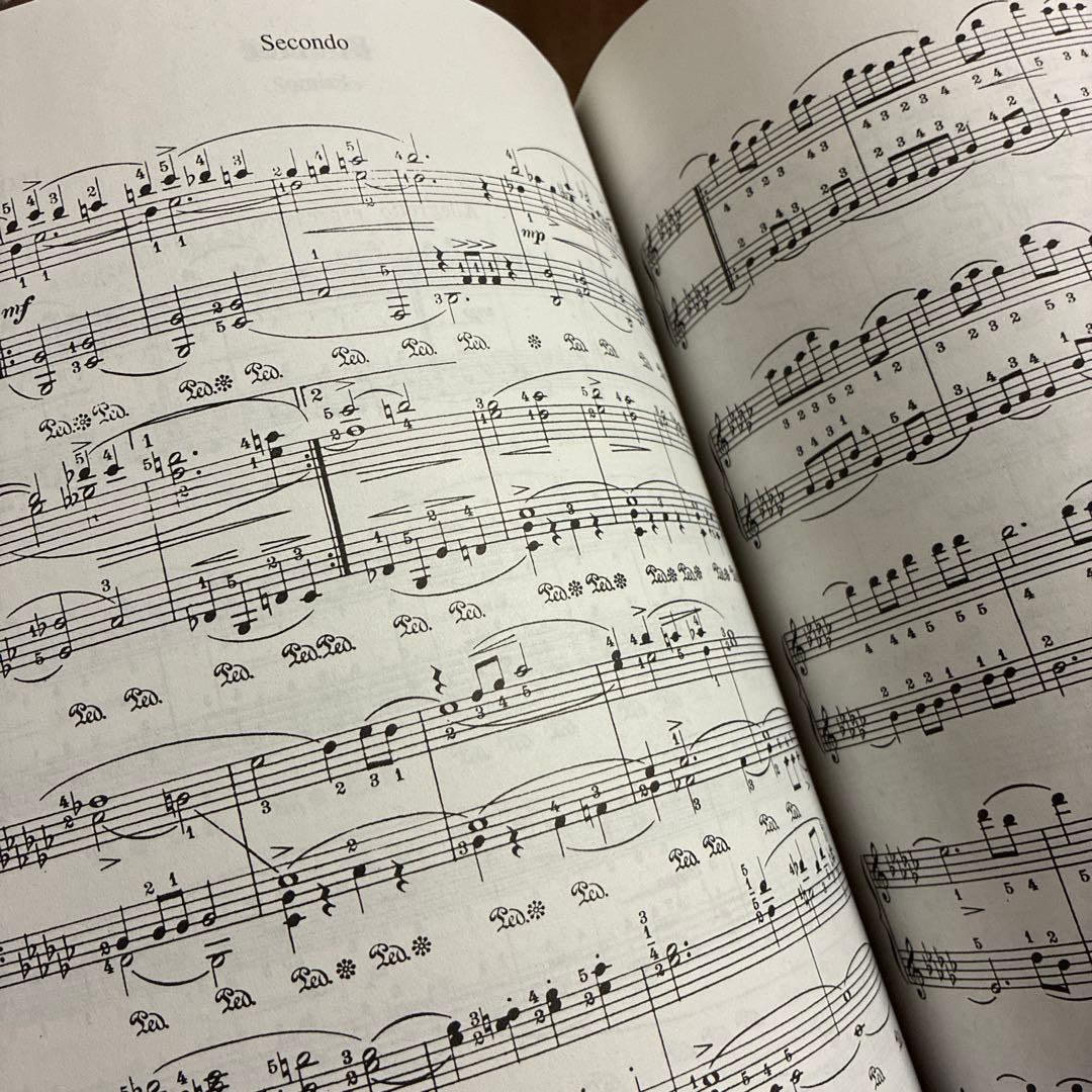 アート・デザイン・音楽 Godowsky/ Collection Vol. 5 CARL FISCHER