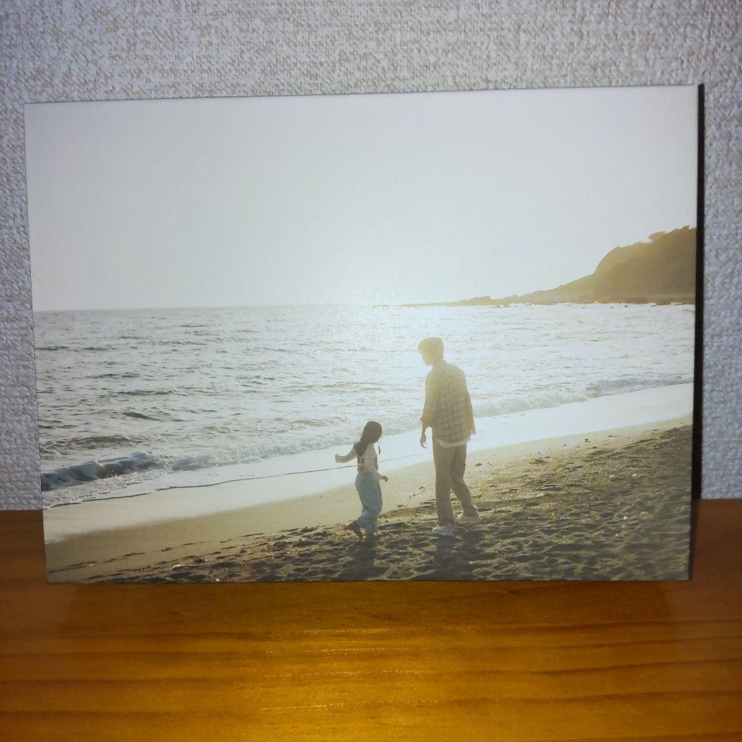 海のはじまり DVD