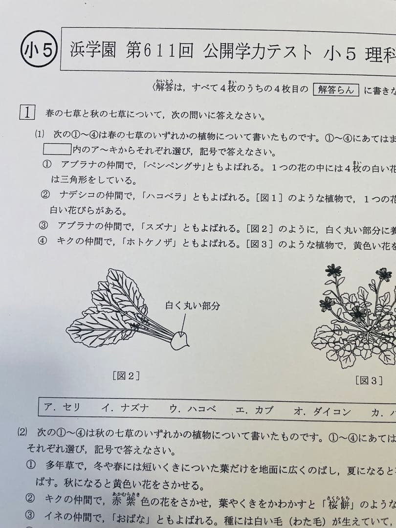 サイカチ