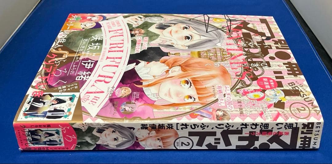 別冊マーガレット2019年2月号 咲坂伊緒