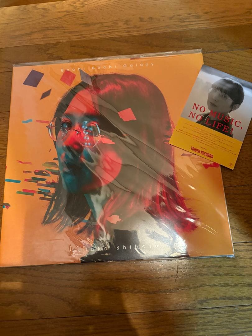 柴田聡子 ぼちぼち銀河 LPレコード　特典付き