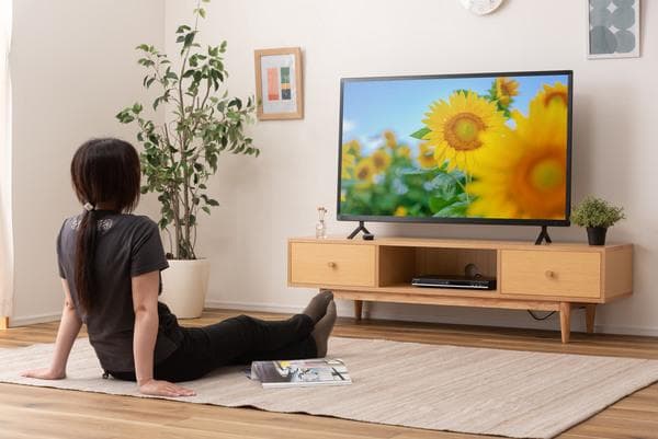 テレビ台 ローボード 150cm 収納付き 引き出し HOT-538 N01