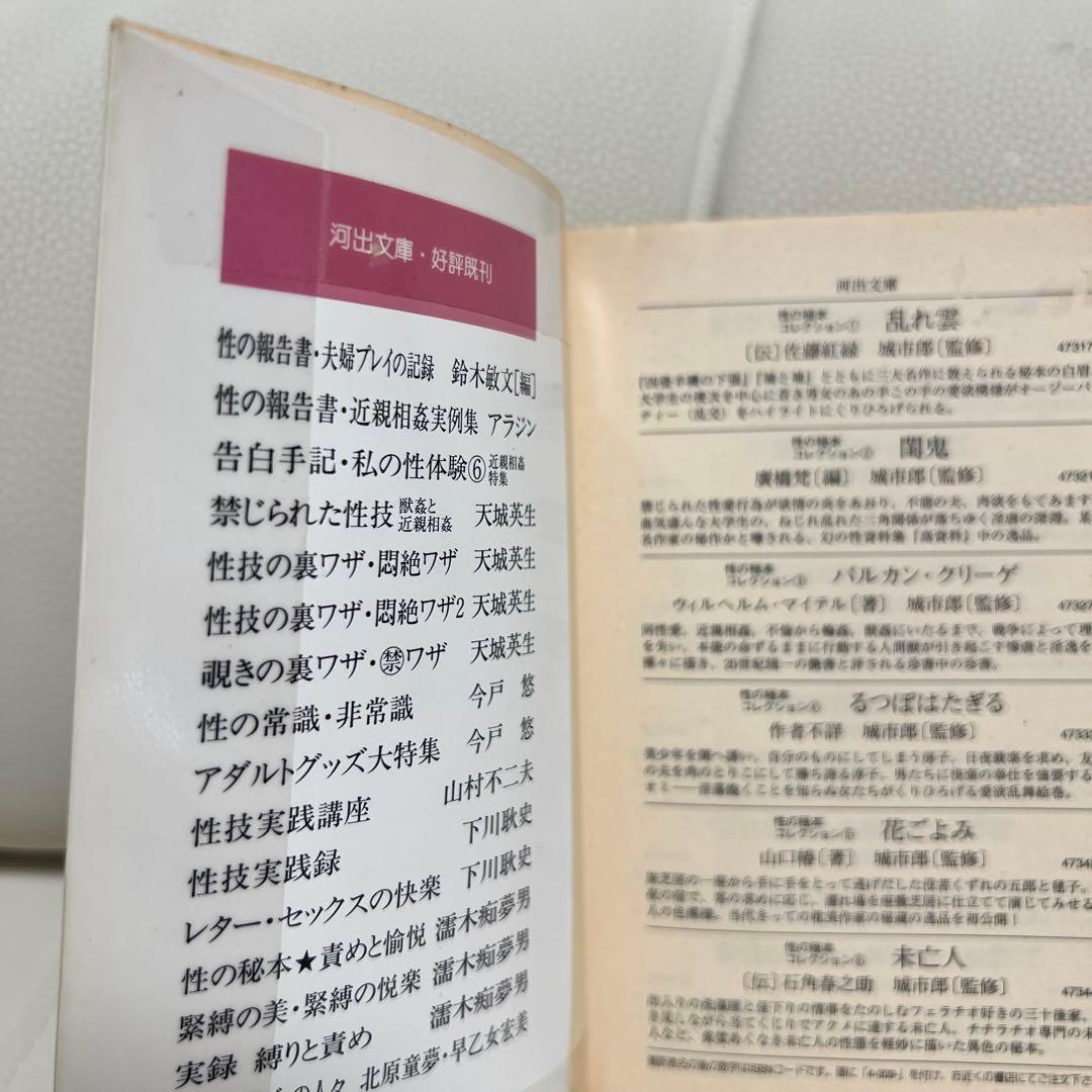 【絶版】 性の報告書 ある死刑囚の性歴 日沼エイスケ