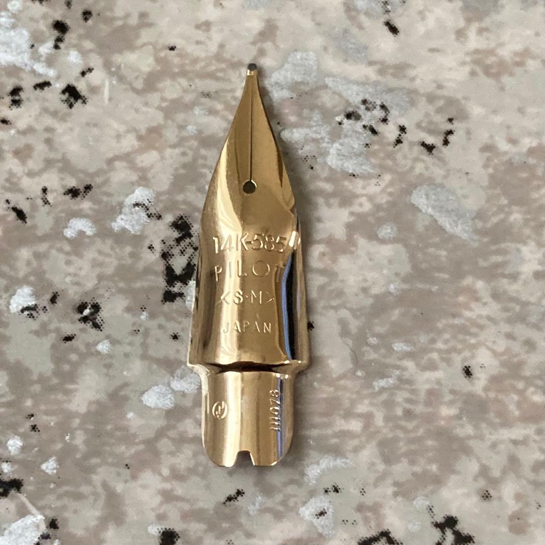 #200 オーバーホール済み 万年筆 パイロット PILOT エラボー 14k