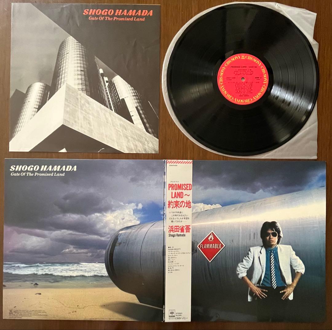 売れなければ処分 全部インサート 浜田省吾 レコード LP 8枚 セット 和モノ