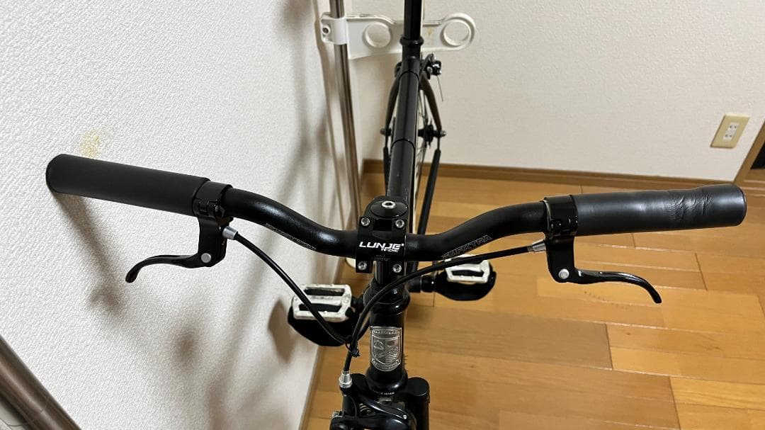 FUJI FEATHER（フジ フェザー）マットブラック　サイズ49cm ピスト