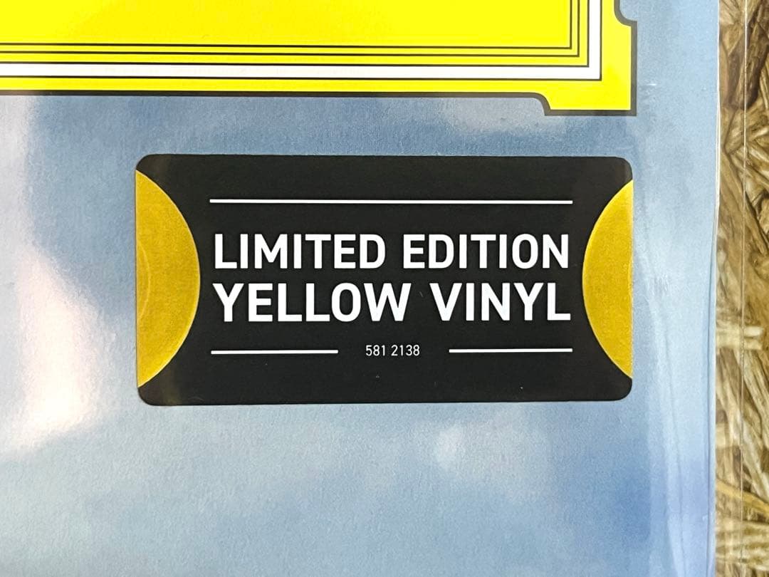 限定盤2LP A Symphonic Celebration 久石譲 レコード