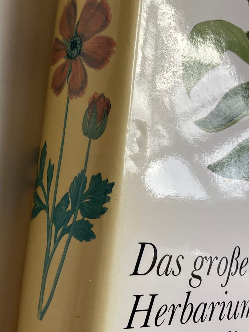 アイヒシュテットの庭園　植物画集DER GARTEN von Eichstätt