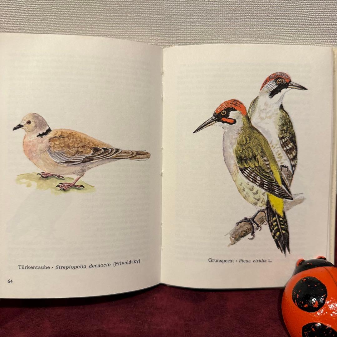 320⑦ドイツ語鳥図鑑3冊セット　洋書古書　ジャンクジャーナル　ボタンニカル