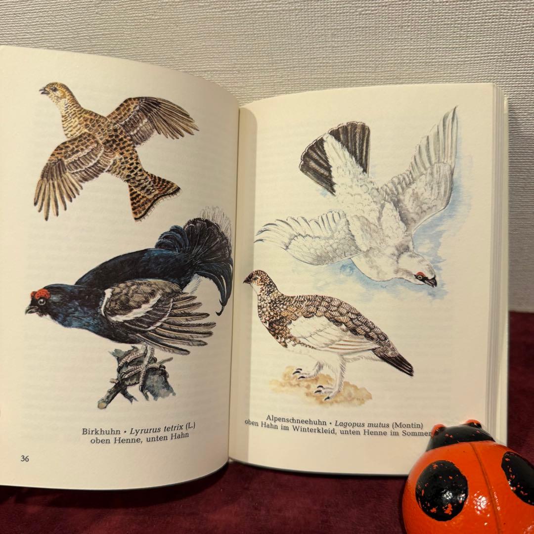 320⑦ドイツ語鳥図鑑3冊セット　洋書古書　ジャンクジャーナル　ボタンニカル
