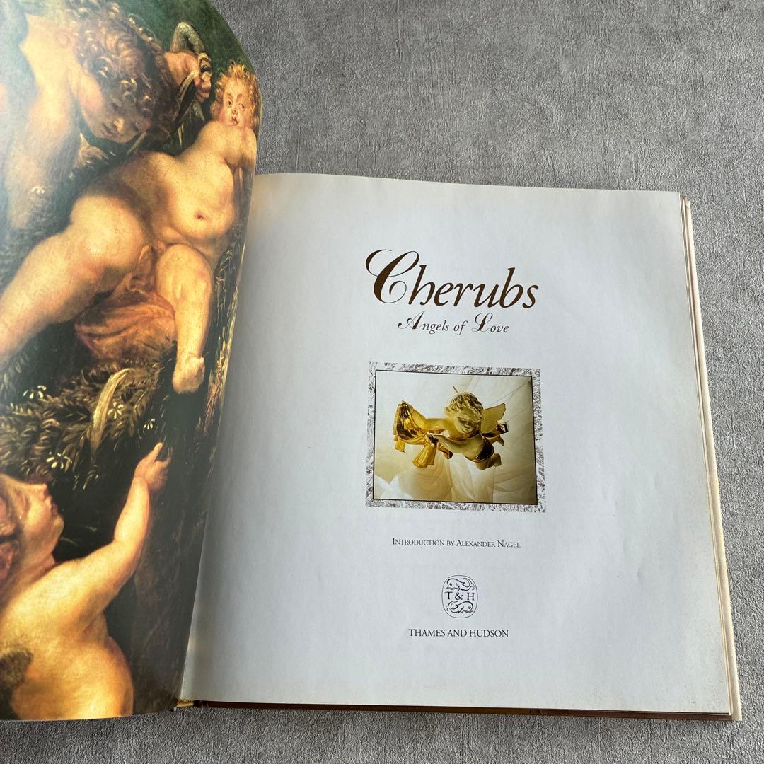 『Cherubs Angels of Love』天使を集めたアートブック