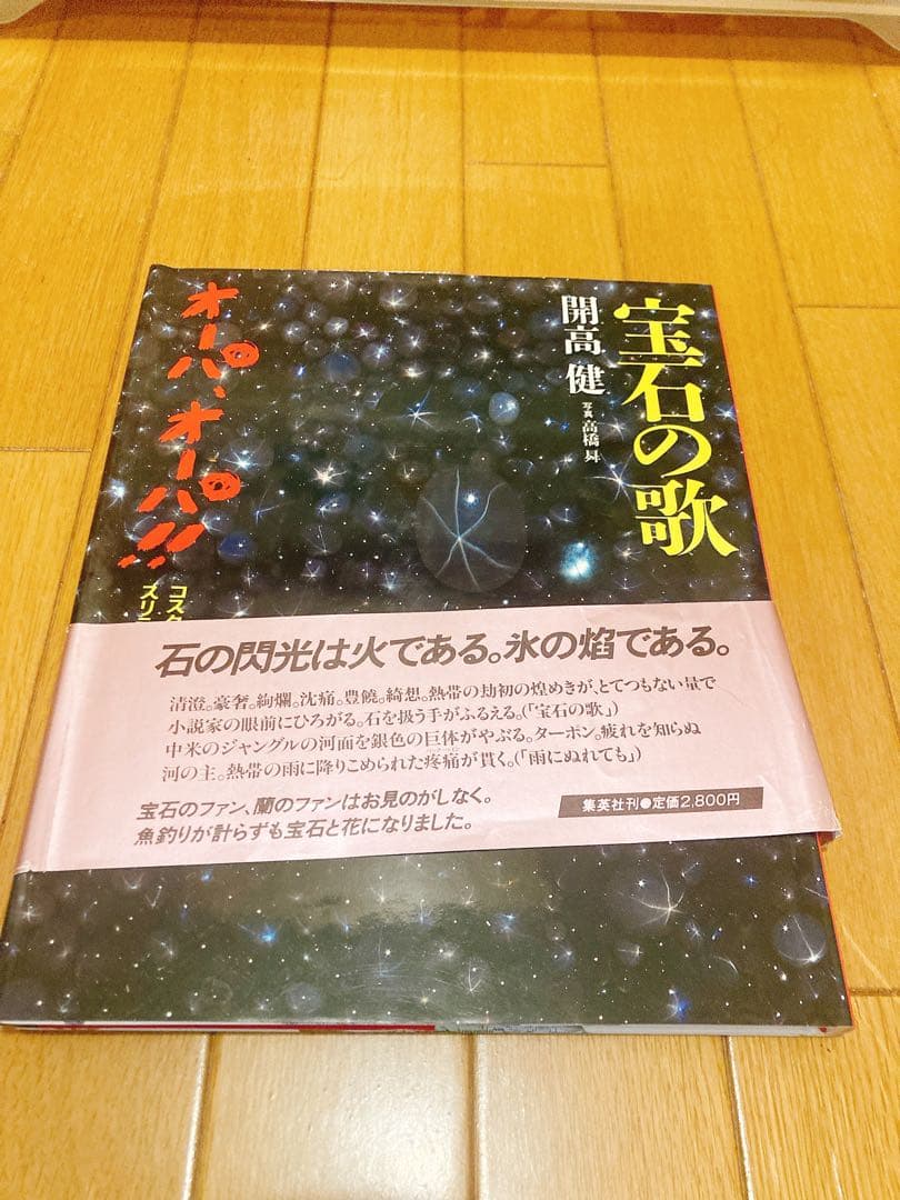 開高健　オーパ、オーパ！！　本　BOOK 5冊まとめ売り