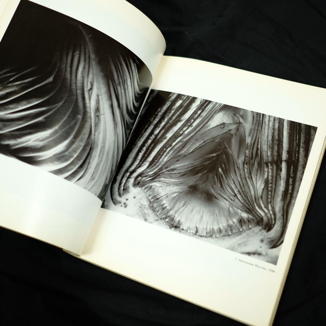 The Daybooks of Edward Weston 洋書　写真集　初版