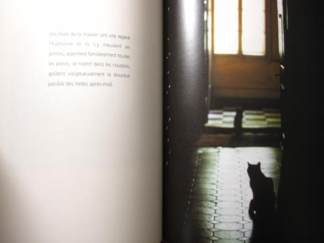 アート・デザイン・音楽 Alain Vircondelet Les chats de Balthus