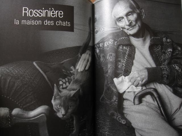 アート・デザイン・音楽 Alain Vircondelet Les chats de Balthus