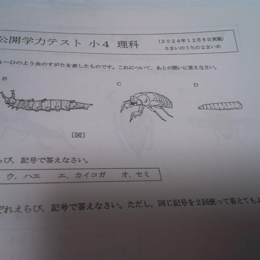語学・辞書・学習参考書 hana