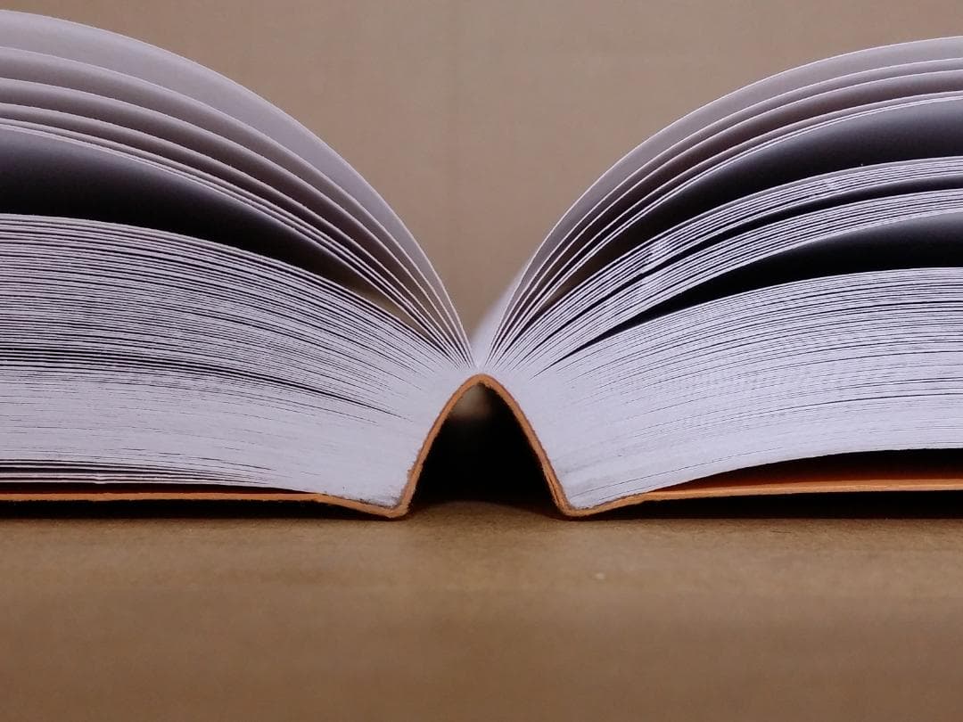 ドイツ/古本 Die eren Schriften ペーパーバック