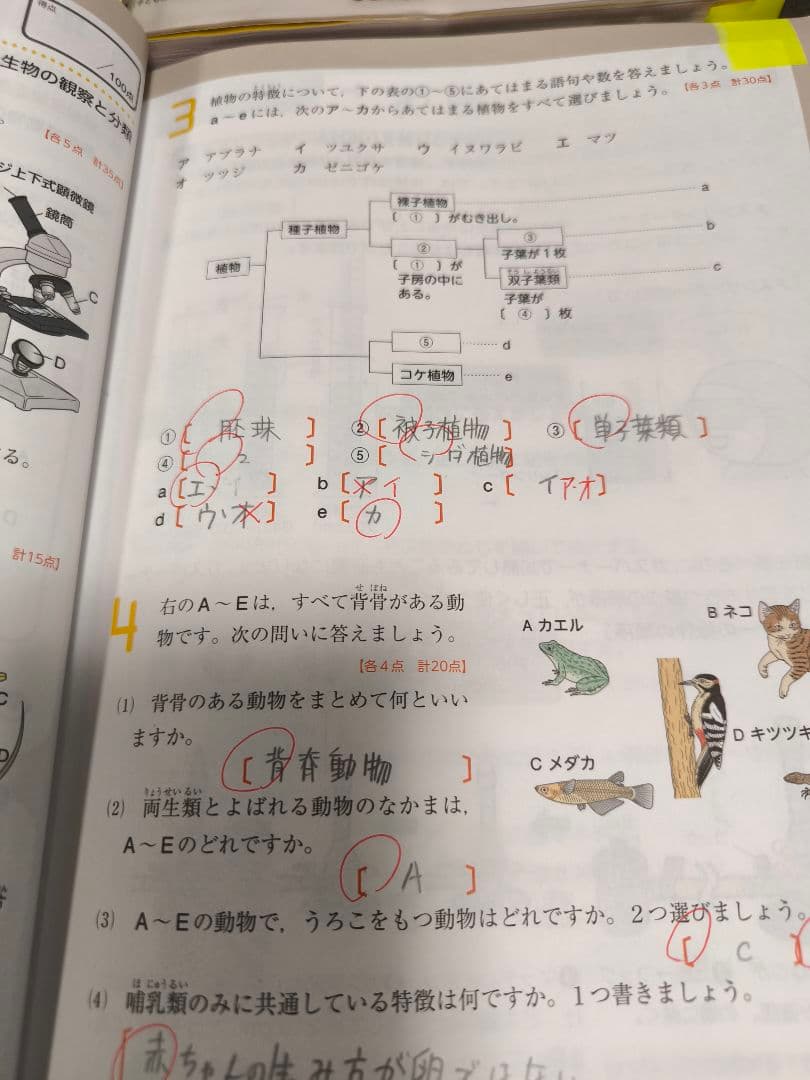 どんきち　中学生　参考書セット
