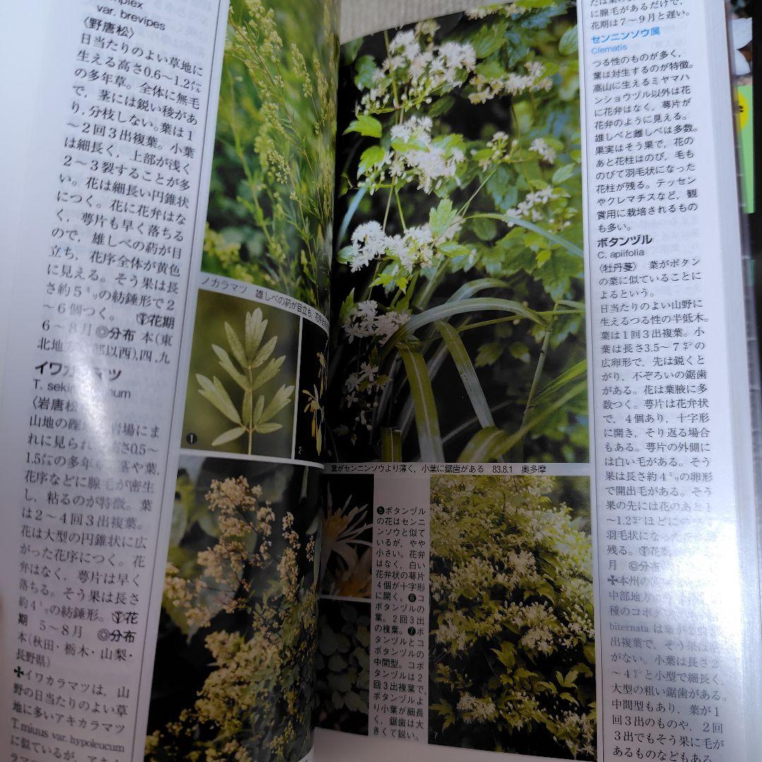 山溪ハンディ図鑑　野に咲く花　山に咲く花　増補改訂新版　2冊セット