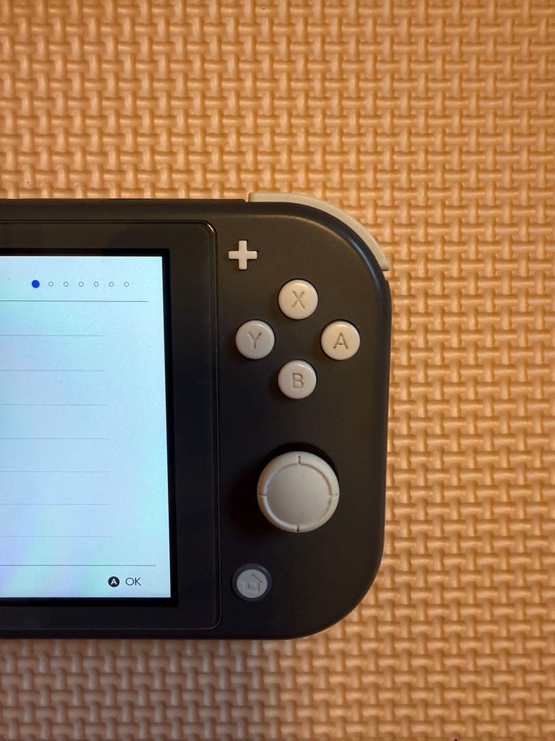 ニンテンドースイッチライト(ケース)