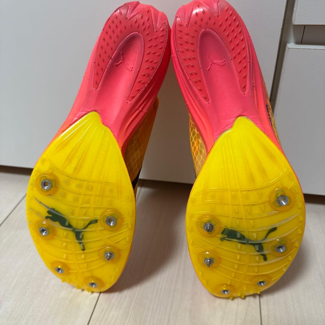 スパイク・シューズ PUMA evospeeddistancenitroelite+2 26