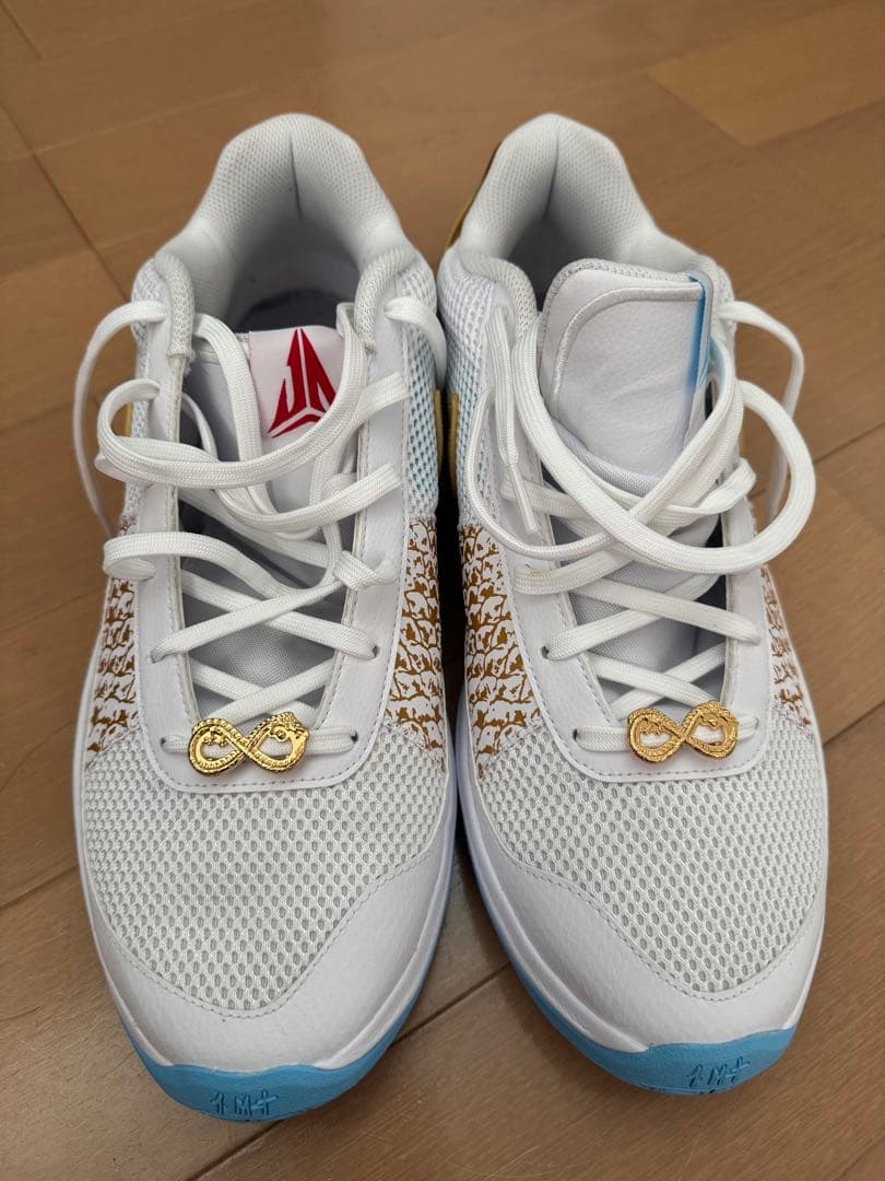 NIKE ナイキ31cm