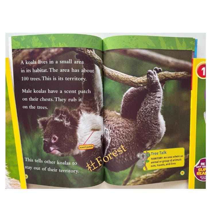 新品 National Geographic Kids 1 絵本46冊 音源付