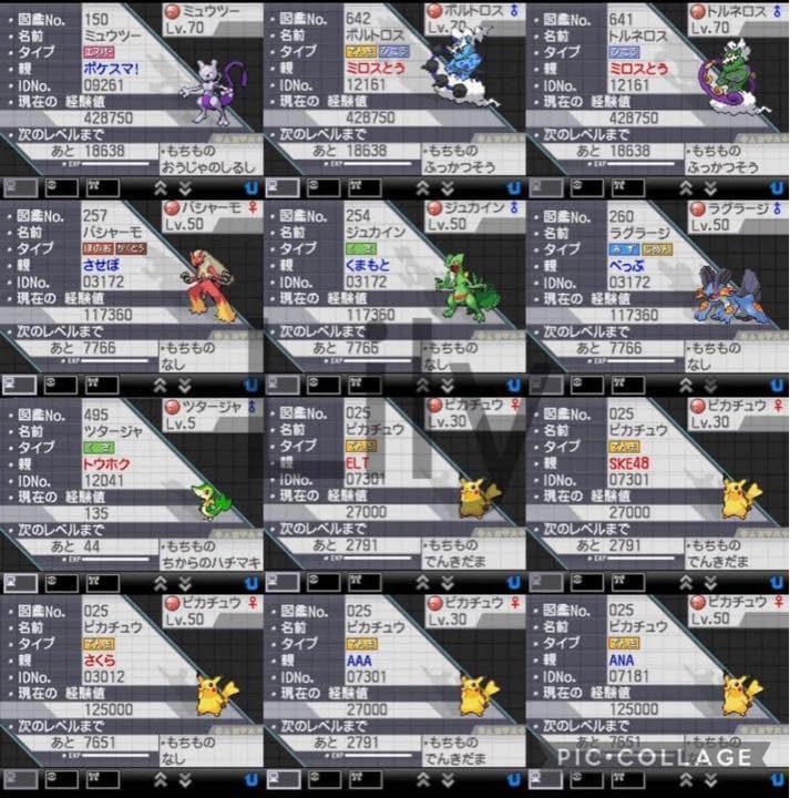 【ポケモン】ブラック2 配信 6vメタモン付き 道具完備 匿名配送