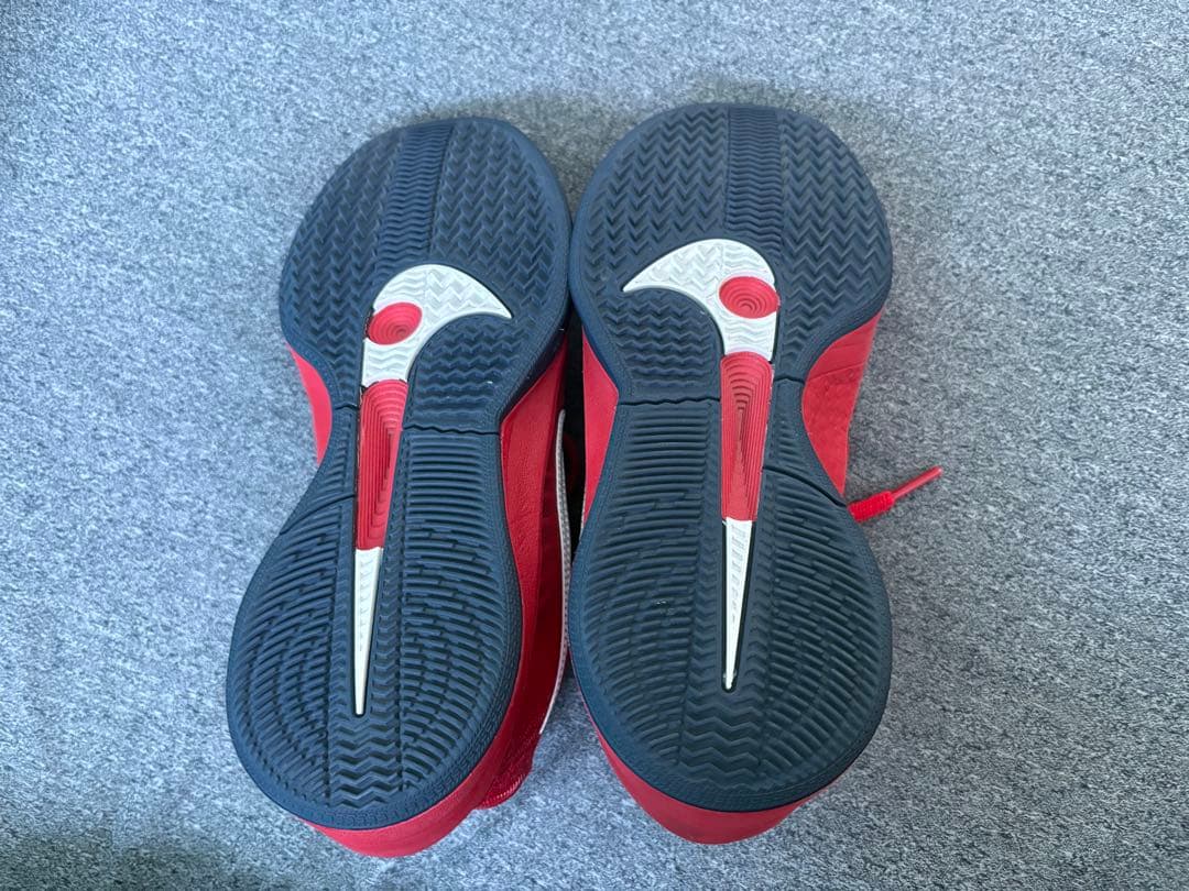 Nike Sabrina Ionescu 2 バスケットシューズ レッド