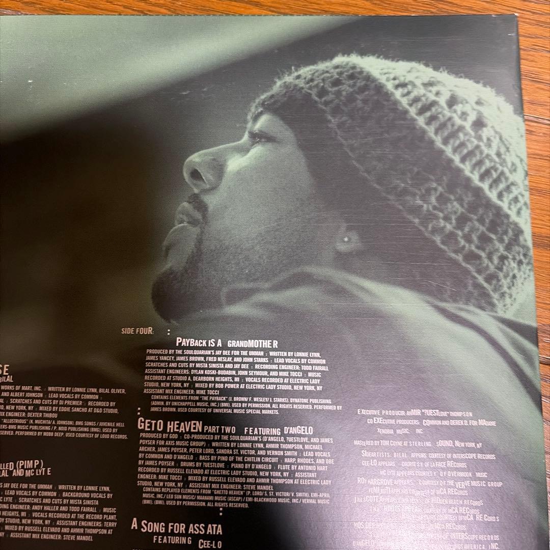 Common Like Water for Chocolate レコード 2LP