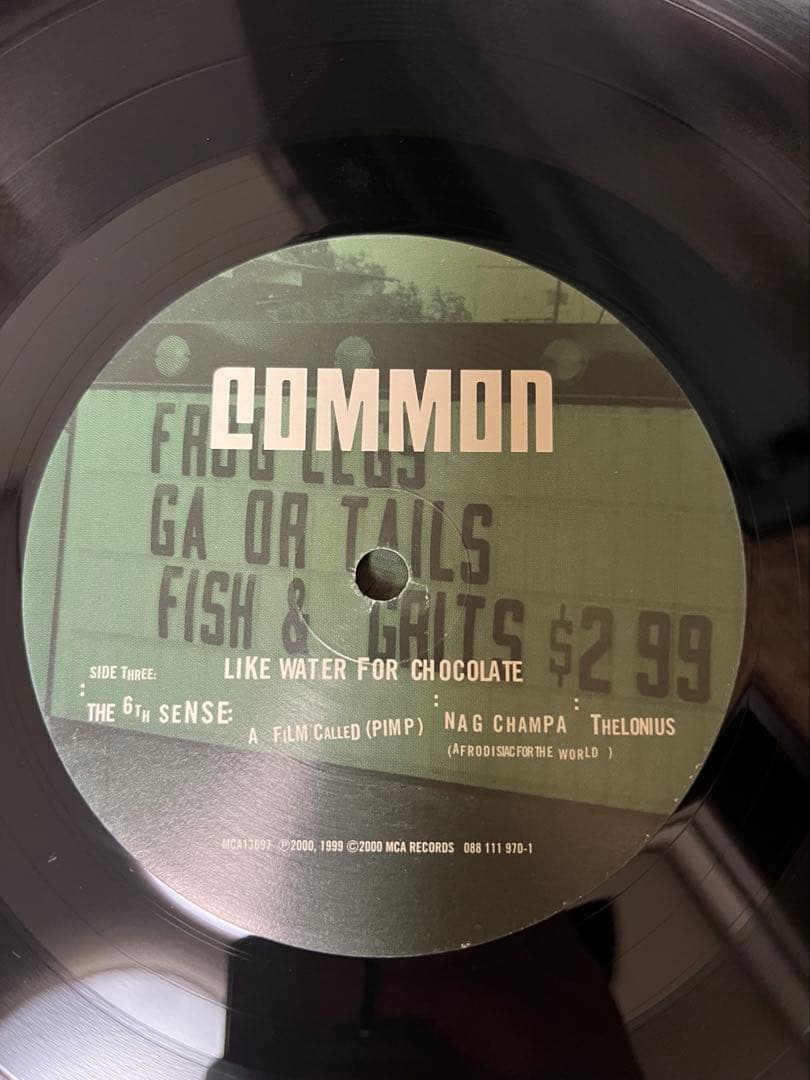 Common Like Water for Chocolate レコード 2LP