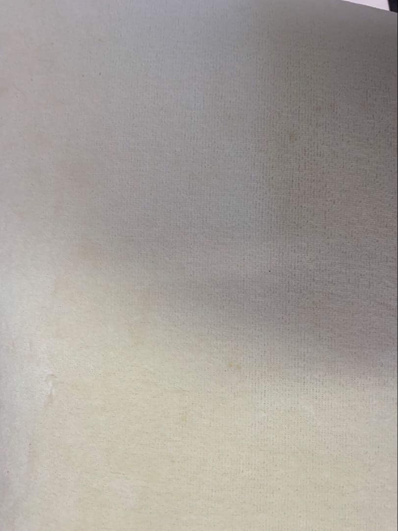 TRUE SLEEPER エンジェルフィット ピロー