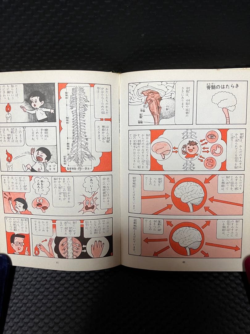 人体の神秘　なぜなぜ理科学習漫画９　集英社