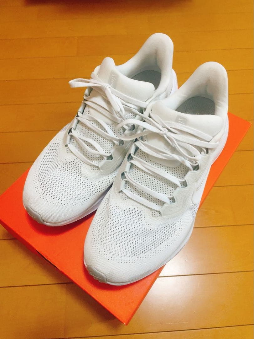 ナイキ ペガサス 41 NIKE Pegasus 41 ホワイト 27.5cm