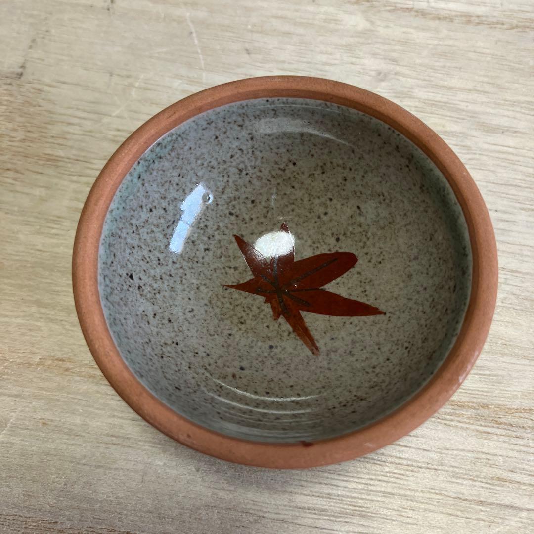 D-4 土瓶 急須 湯呑み セット 茶器 紅葉 もみじ 陶器 藤手 食器 和食器