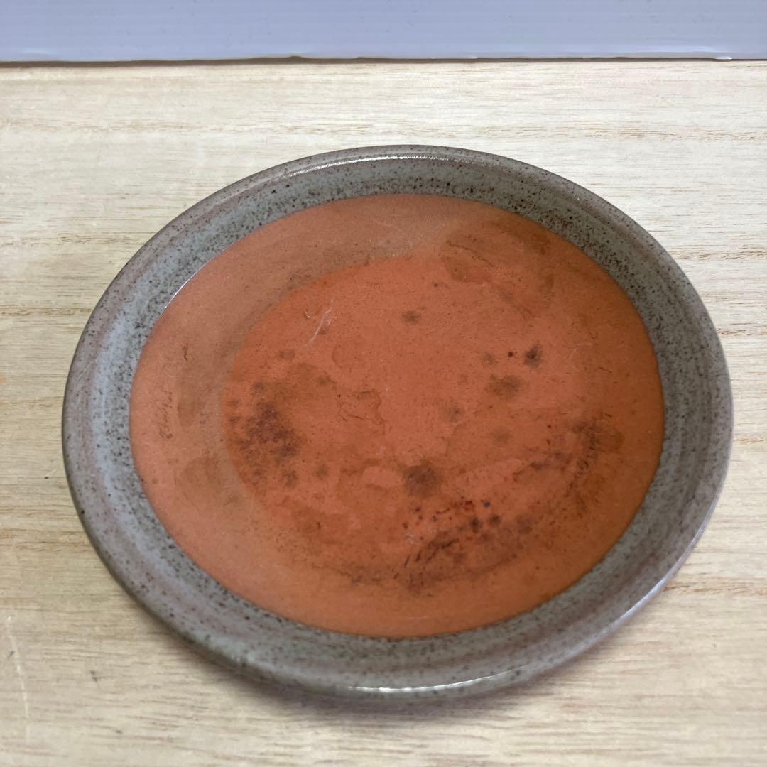 D-4 土瓶 急須 湯呑み セット 茶器 紅葉 もみじ 陶器 藤手 食器 和食器