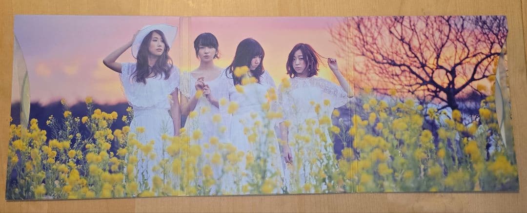 赤い公園　Canvas CD +DVD 完全生産限定盤
