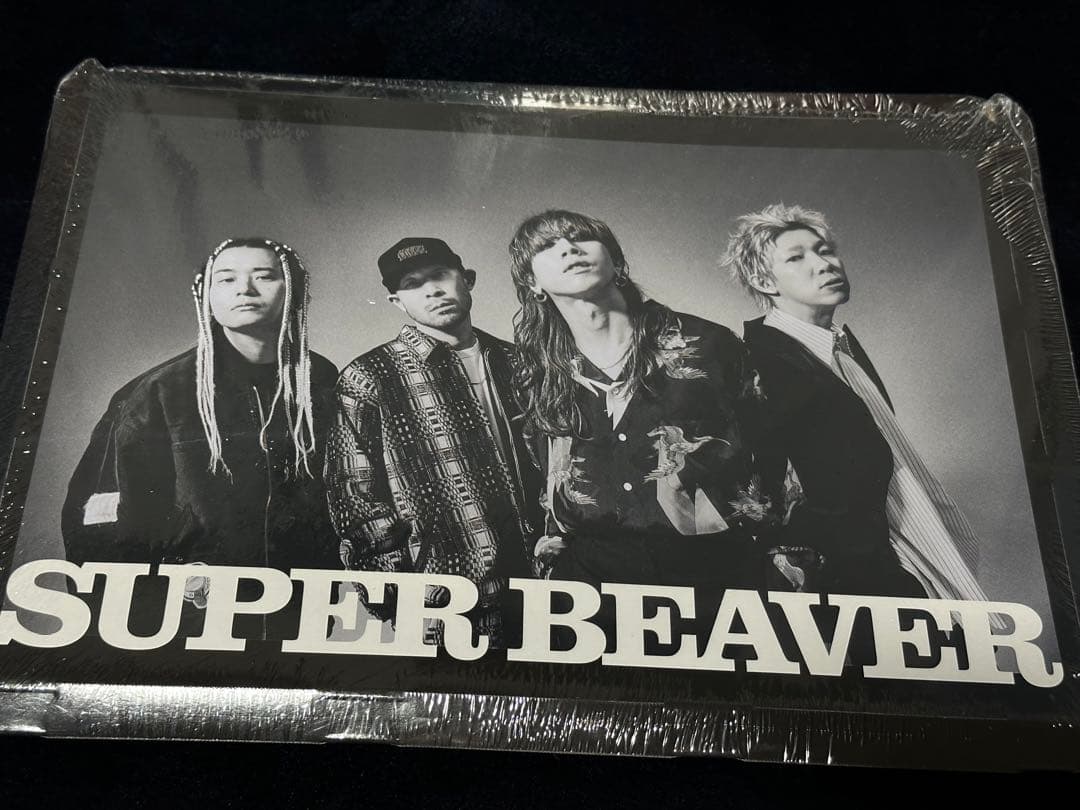 「音楽」SUPER BEAVER 初回特典A4クリアファイル&A4配送パック付き