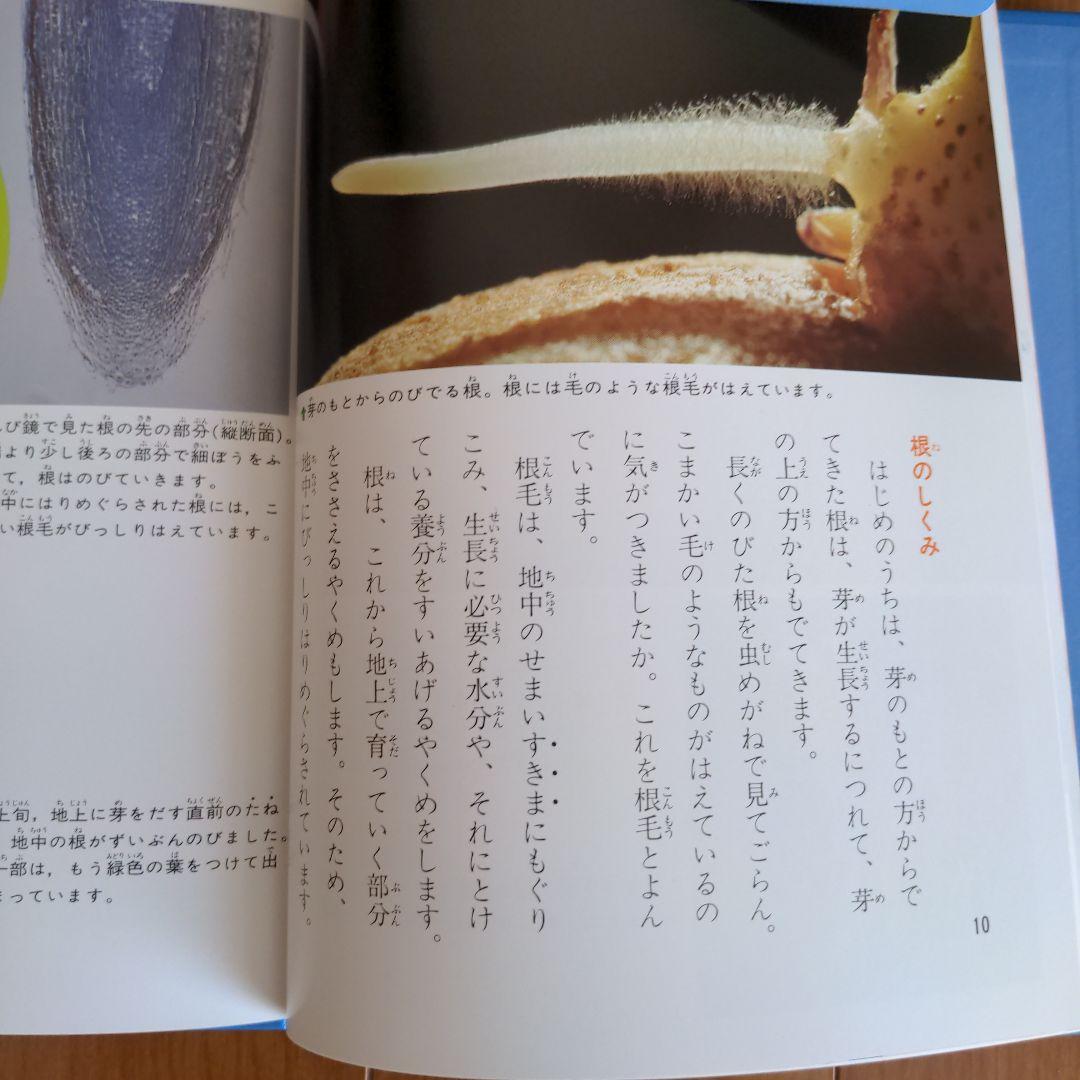 科学のアルバム　虫編のみ