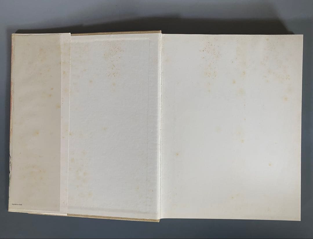 洋書シャガール　リトグラフ　Ⅳ.Ⅴ 2冊