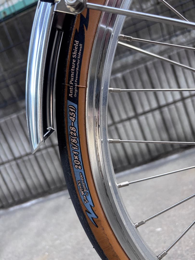 RALEIGH RSM ラレー ミニベロ ブルーラグ カスタム