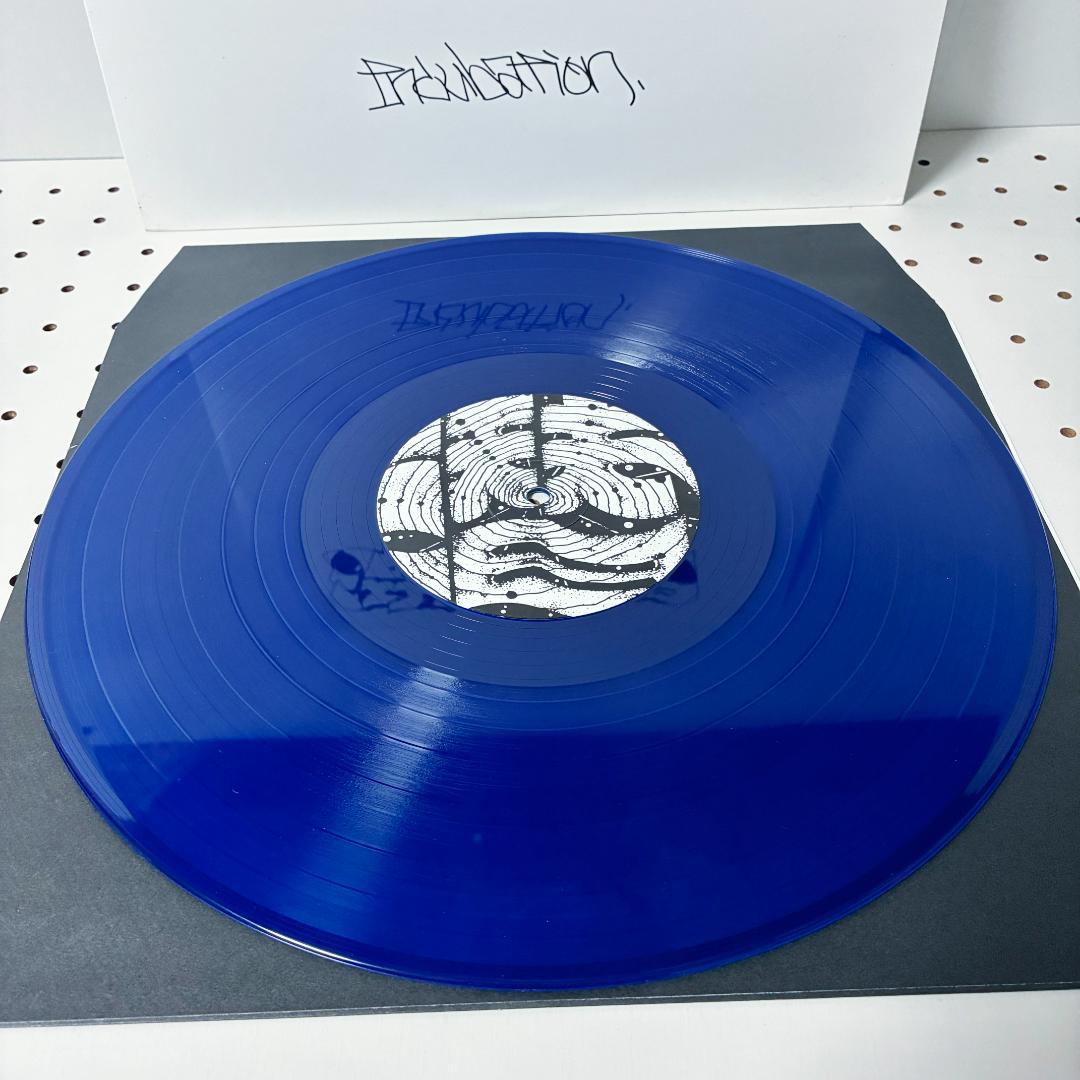 v*a様 潜伏期間 Incubation レコードの館 co∞ SHU Z