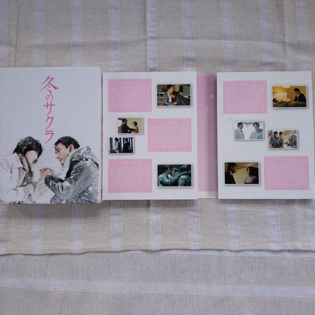 冬のサクラ DVD