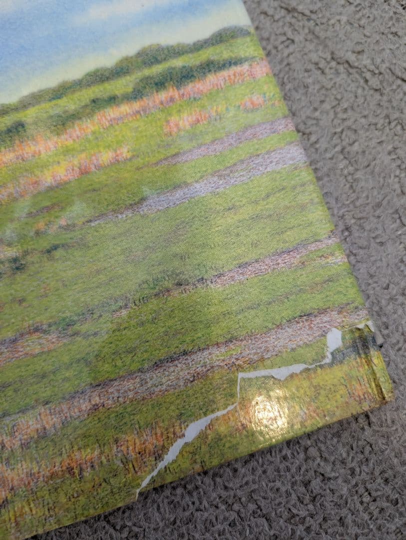★【値下げ】絵本・児童書 セット まとめ売り 53冊＋おまけ