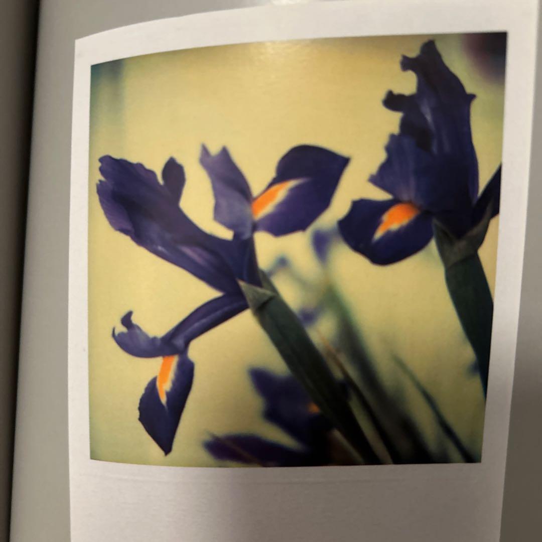 アンドレ・ケルテス作品集『The Polaroids』