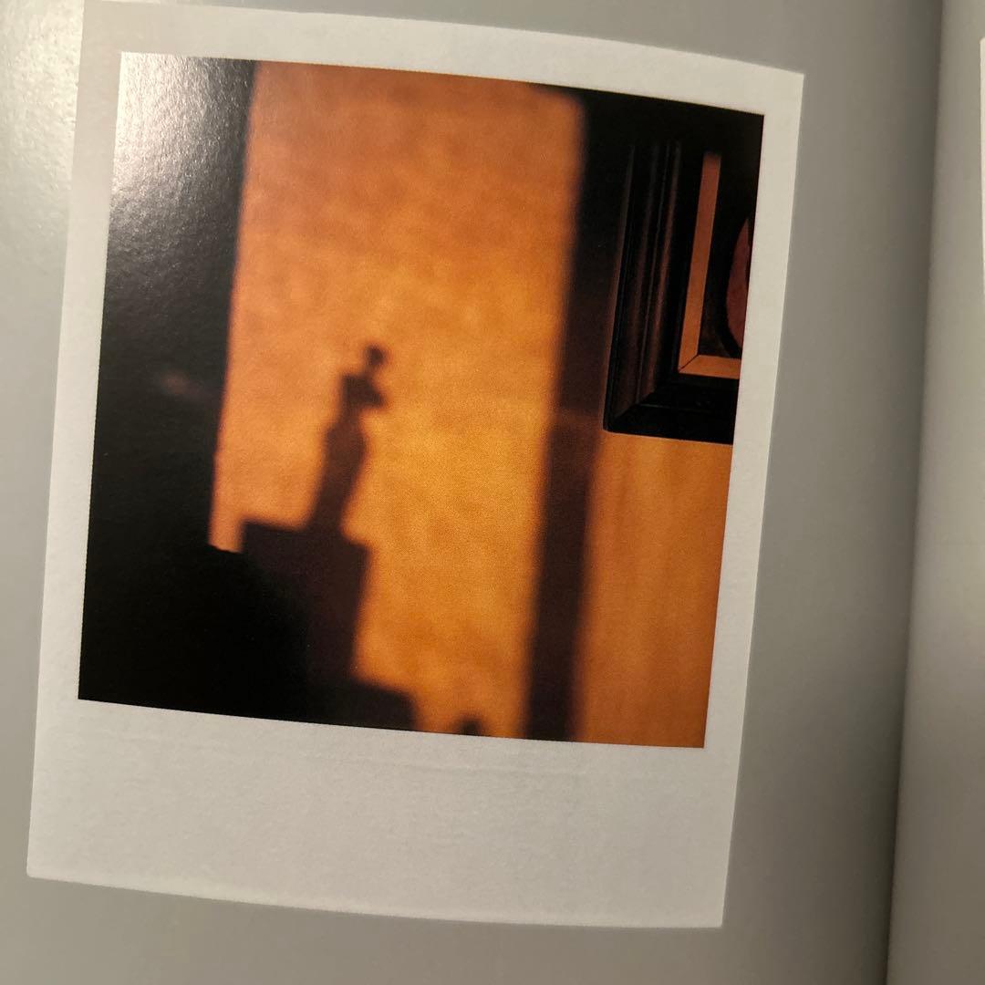 アンドレ・ケルテス作品集『The Polaroids』