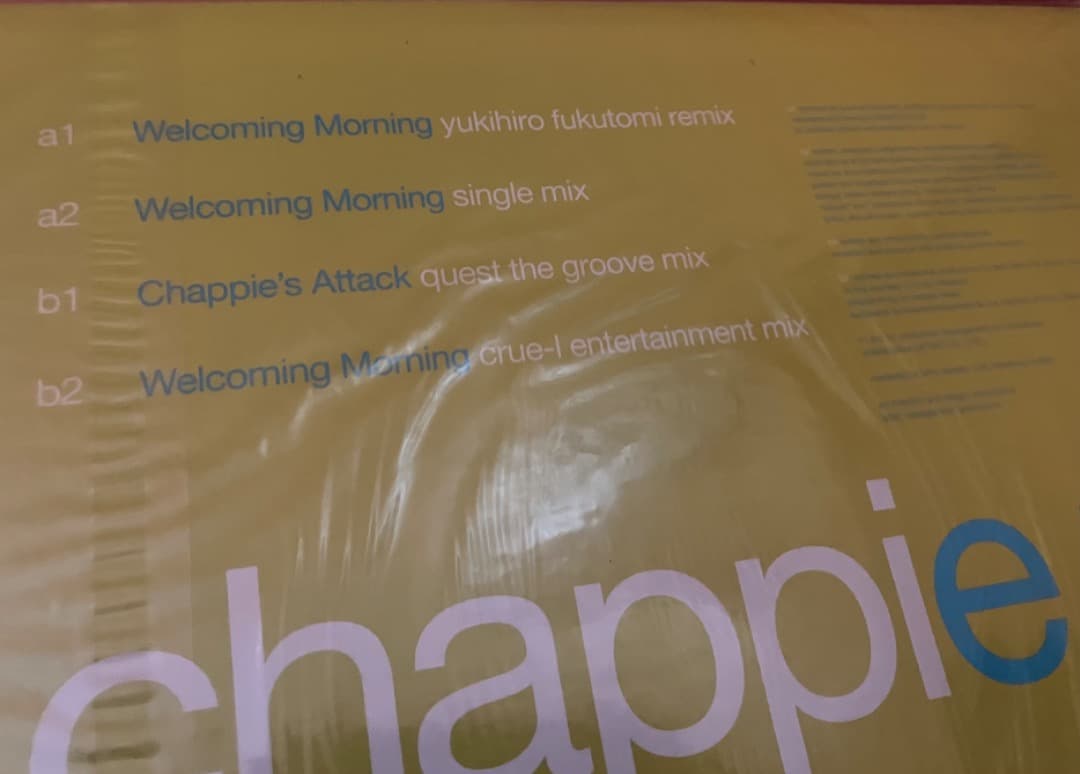 Chappie groovisions 新品未使用　アナログ2枚セット