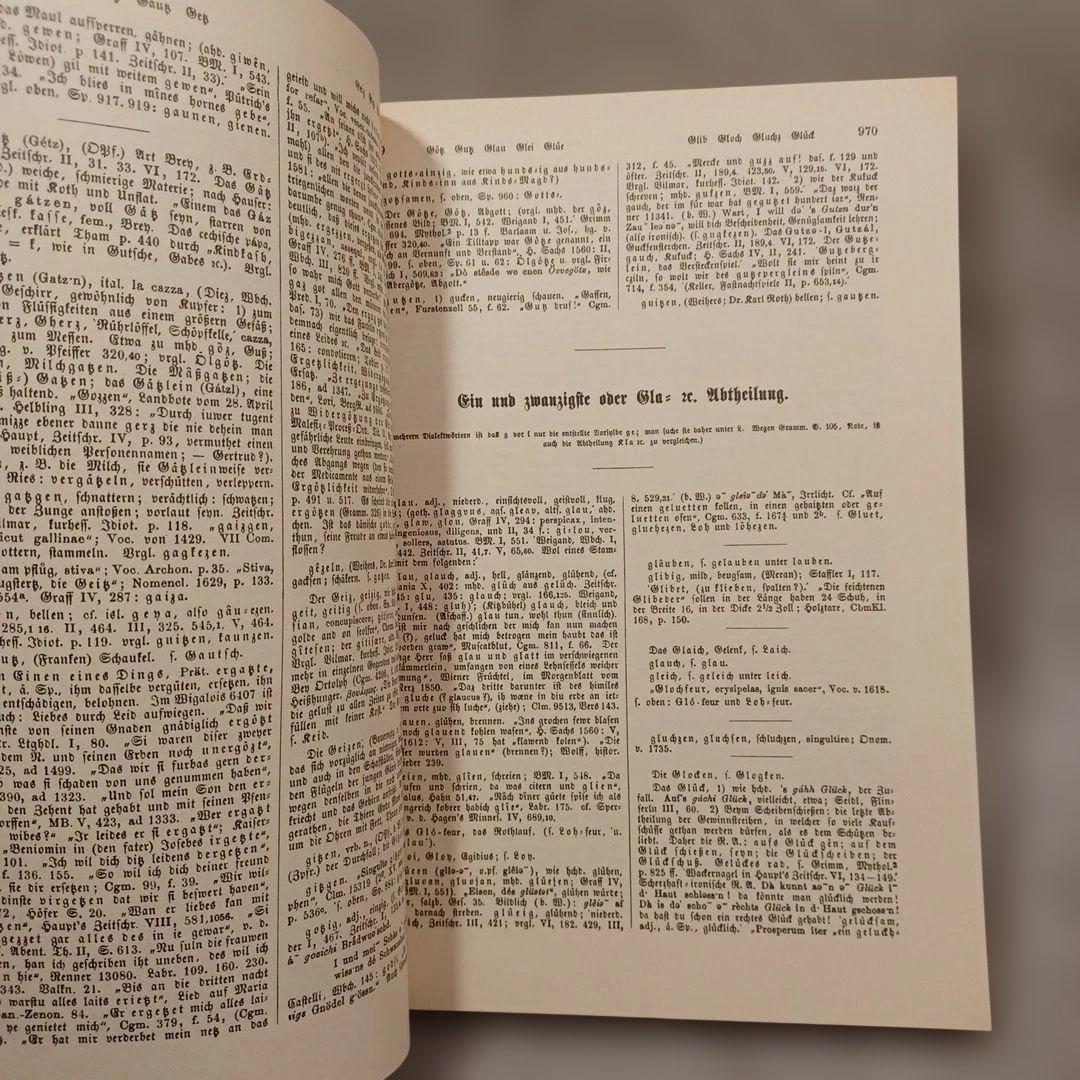 洋書 バイエルン方言の辞典 ドイツ語　言語学　ひげ文字